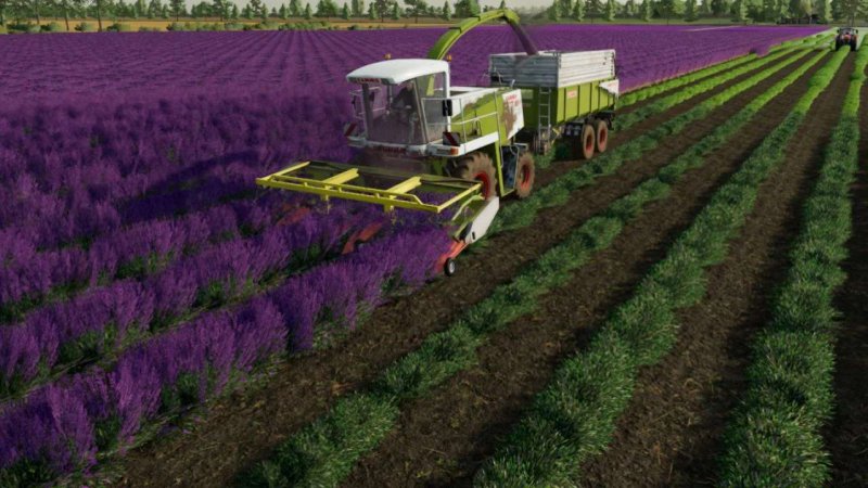 CLAAS Lavender Header Bar